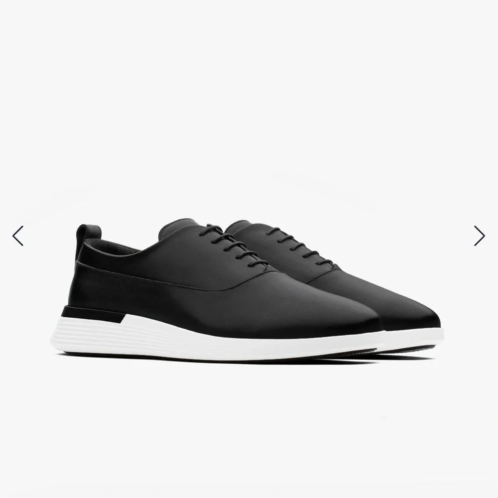 Wolf and Shephered sleek black